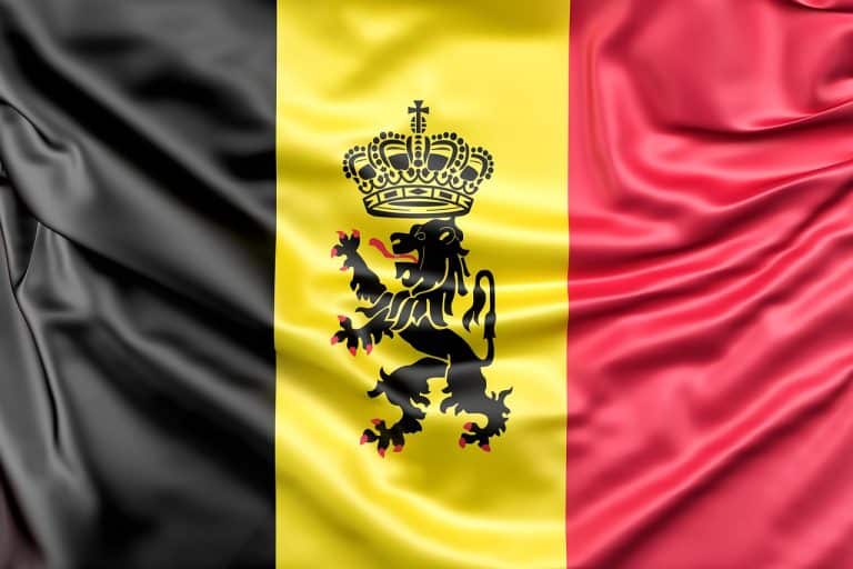 Match amical : affrontement entre l’Écosse et la Belgique, sur quelle équipe parier ?