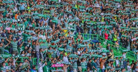soccer fans stadium crowd