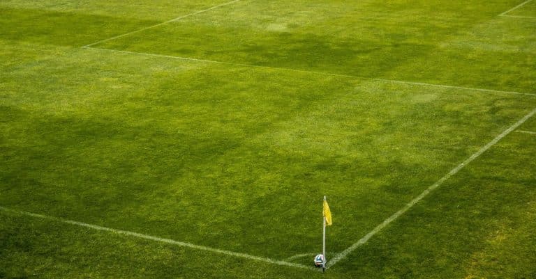 Un nouveau stade pour les Spurs ?
