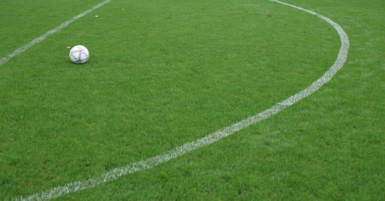 Stade Olympique : Tottenham espionnait ?